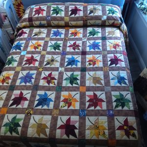 Autumn Splendor Queen 130as