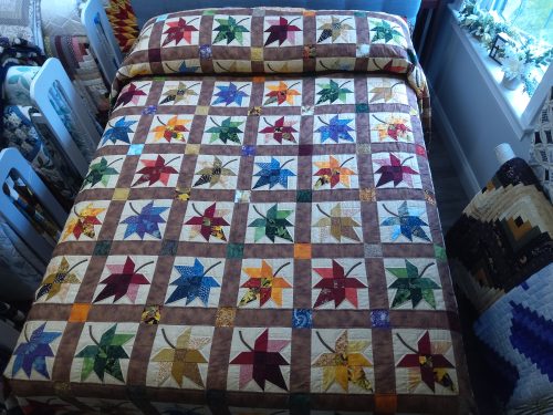 Autumn Splendor Queen 130as