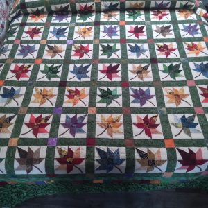 Autumn Splendor King 132as