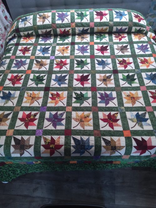 Autumn Splendor King 132as