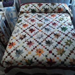 Autumn Splendor Queen 133as