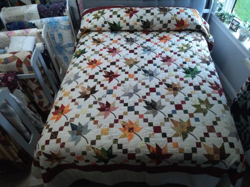 Autumn Splendor Queen 133as