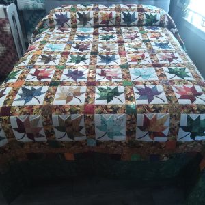 Alternative view of Autumn Splendor Queen 138as