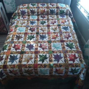 Autumn Splendor Queen 138as