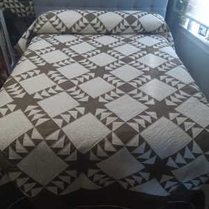 Alternative view of Flying Geese Queen 160fg