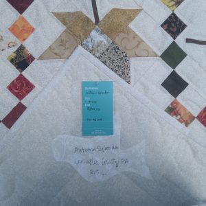 Alternative view of Autumn Splendor Wall Hanging 139aswh