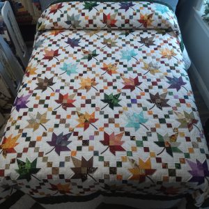 Autumn Splendor Queen 141as